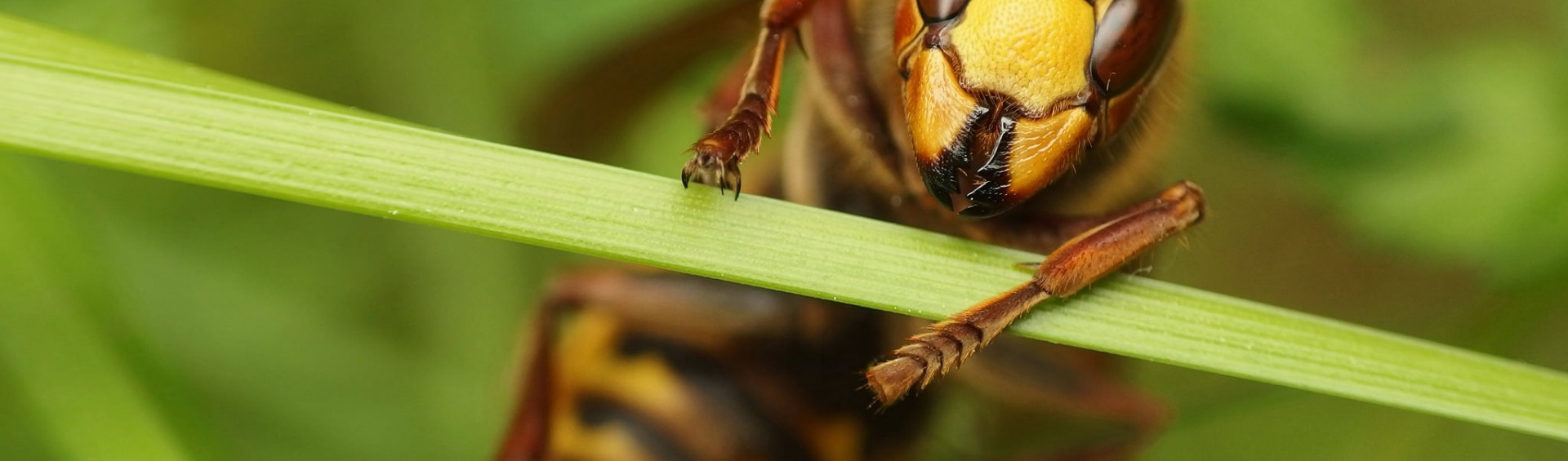 fot. Ulka Czochara