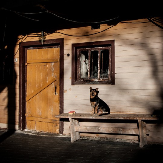fot. Agnieszka Harna