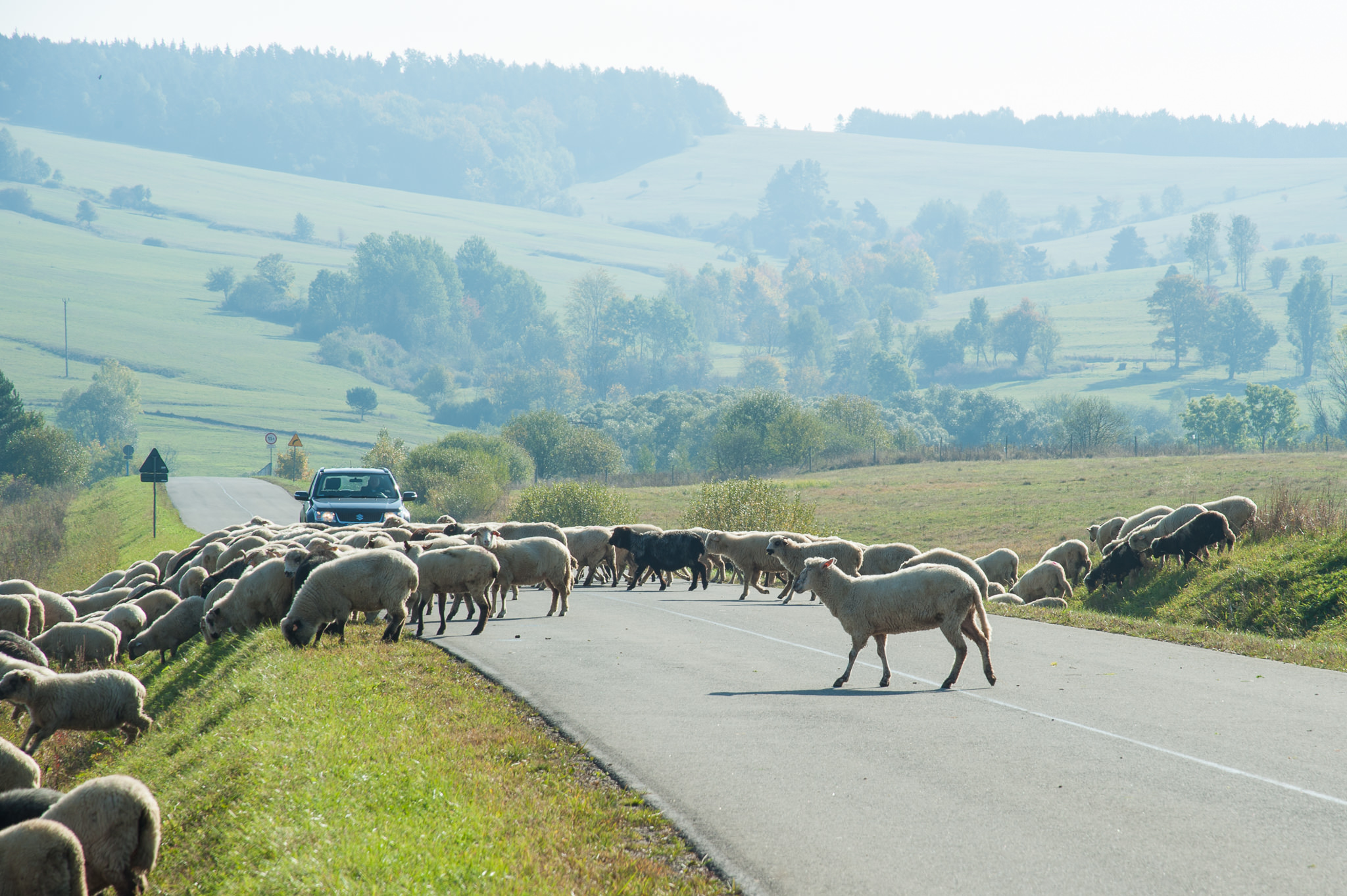 bieszczady2015oct-ania-0417