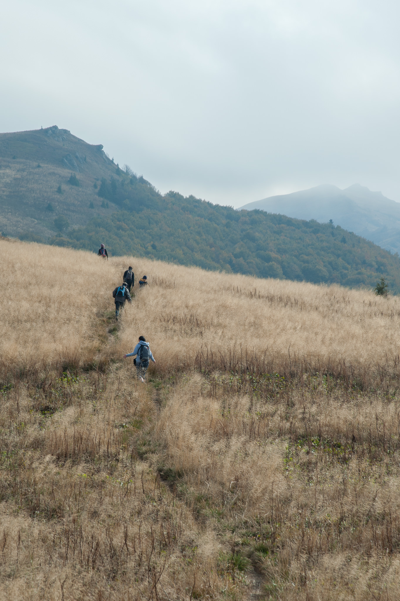 bieszczady2015oct-ania-0506