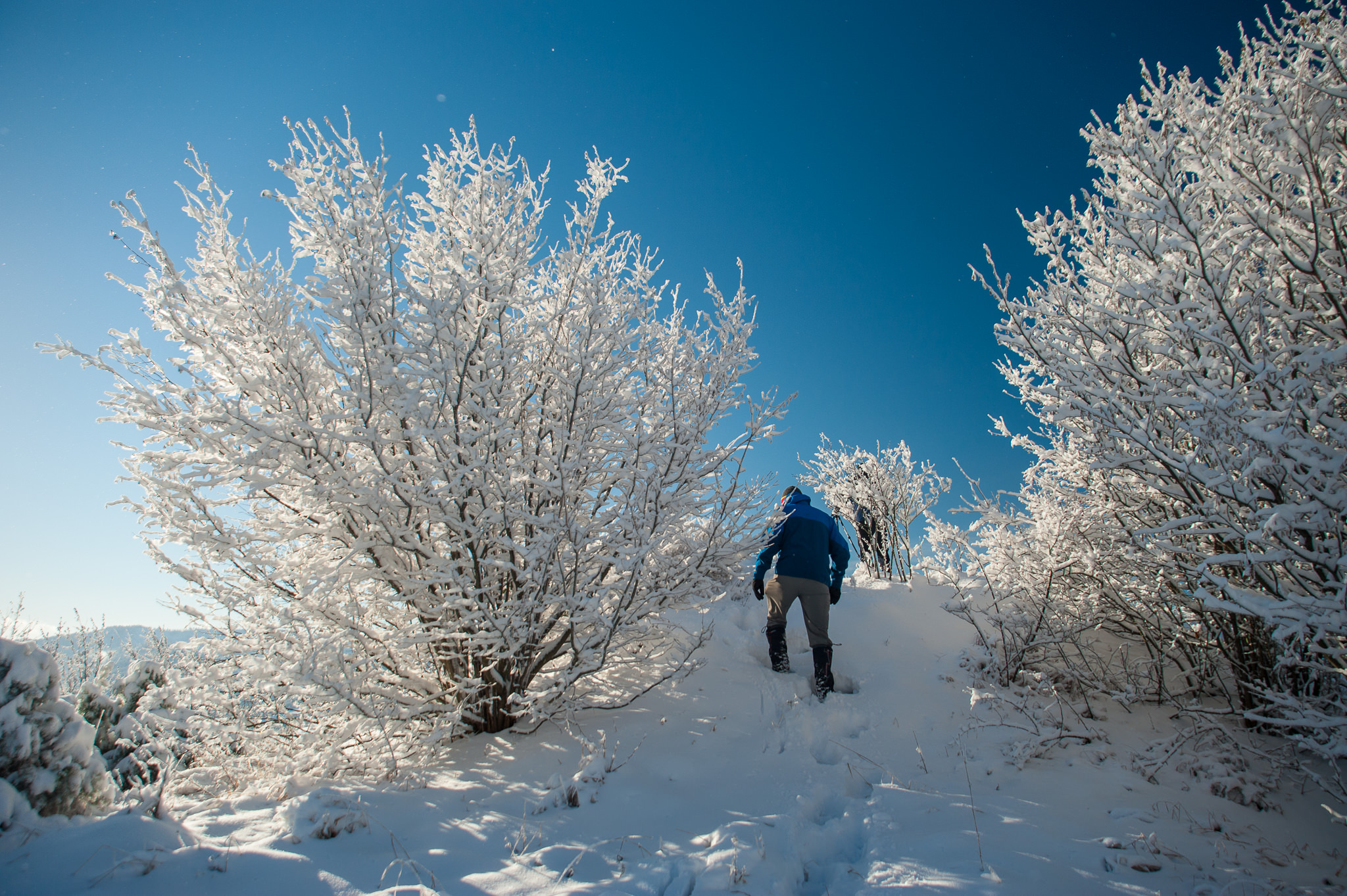 pieniny2015dec-ania-2233