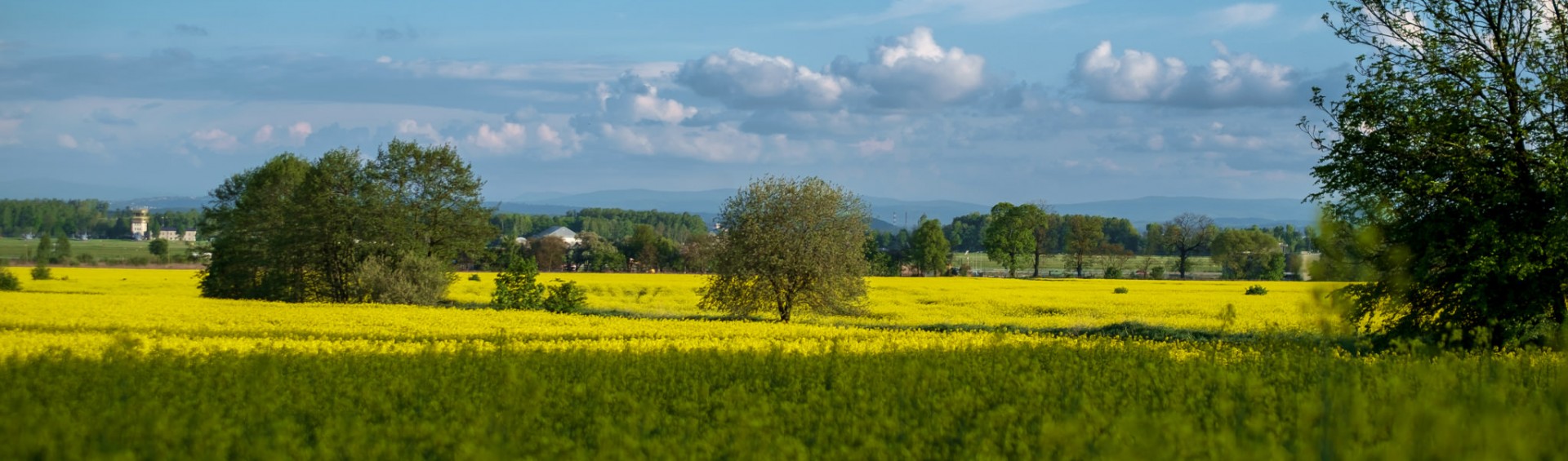 fot. Bartosz Michalik